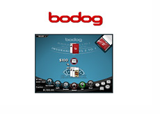 Bodog casino offers free practice mode blackjack on their website